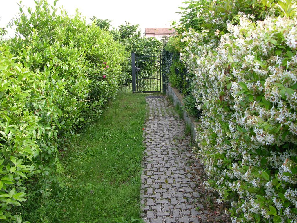 Appartamento Vacanze Magnolia E Glicine Tuoro sul Trasimeno Exterior foto